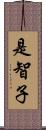 是智子 Scroll