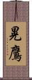 晃鷹 Scroll
