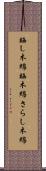 晒し木綿 Scroll