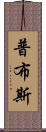 普布斯 Scroll