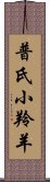 普氏小羚羊 Scroll