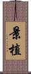 景植 Scroll