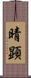 晴顕 Scroll
