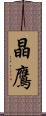 晶鷹 Scroll