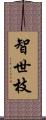 智世枝 Scroll