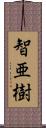 智亜樹 Scroll