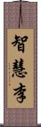 智慧李 Scroll