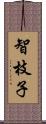 智枝子 Scroll