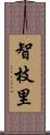 智枝里 Scroll