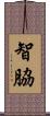 智脇 Scroll