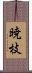 暁枝 Scroll