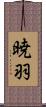 暁羽 Scroll