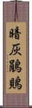 暗灰鵑鵙 Scroll