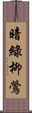 暗綠柳鶯 Scroll