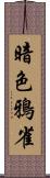 暗色鴉雀 Scroll