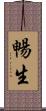 暢生 Scroll
