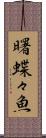 曙蝶々魚 Scroll
