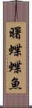 曙蝶蝶魚 Scroll