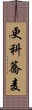 更科蕎麦 Scroll