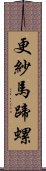 更紗馬蹄螺 Scroll