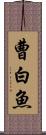 曹白魚 Scroll