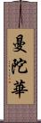 曼陀華 Scroll