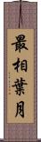 最相葉月 Scroll