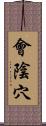 會陰穴 Scroll