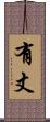 有丈 Scroll