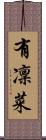 有凜菜 Scroll