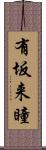 有坂来瞳 Scroll