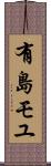有島モユ Scroll