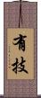 有技 Scroll