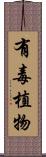 有毒植物 Scroll