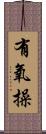 有氧操 Scroll