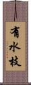 有水枝 Scroll