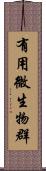有用微生物群 Scroll