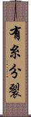 有糸分裂 Scroll