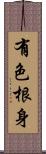 有色根身 Scroll