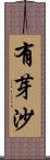 有芽沙 Scroll