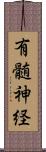 有髄神経 Scroll