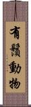 有鬚動物 Scroll