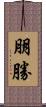 朋勝 Scroll