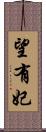 望有妃 Scroll