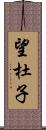 望杜子 Scroll