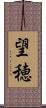 望穂 Scroll