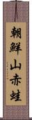 朝鮮山赤蛙 Scroll