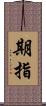 期指 Scroll