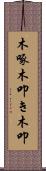 木啄 Scroll