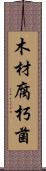 木材腐朽菌 Scroll